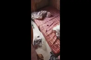 Ngintip Pacar Sendirian Desah Panjang Nikmat